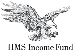 Description: hms-lockup-vert